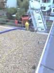 08-10-08_0845.jpg
